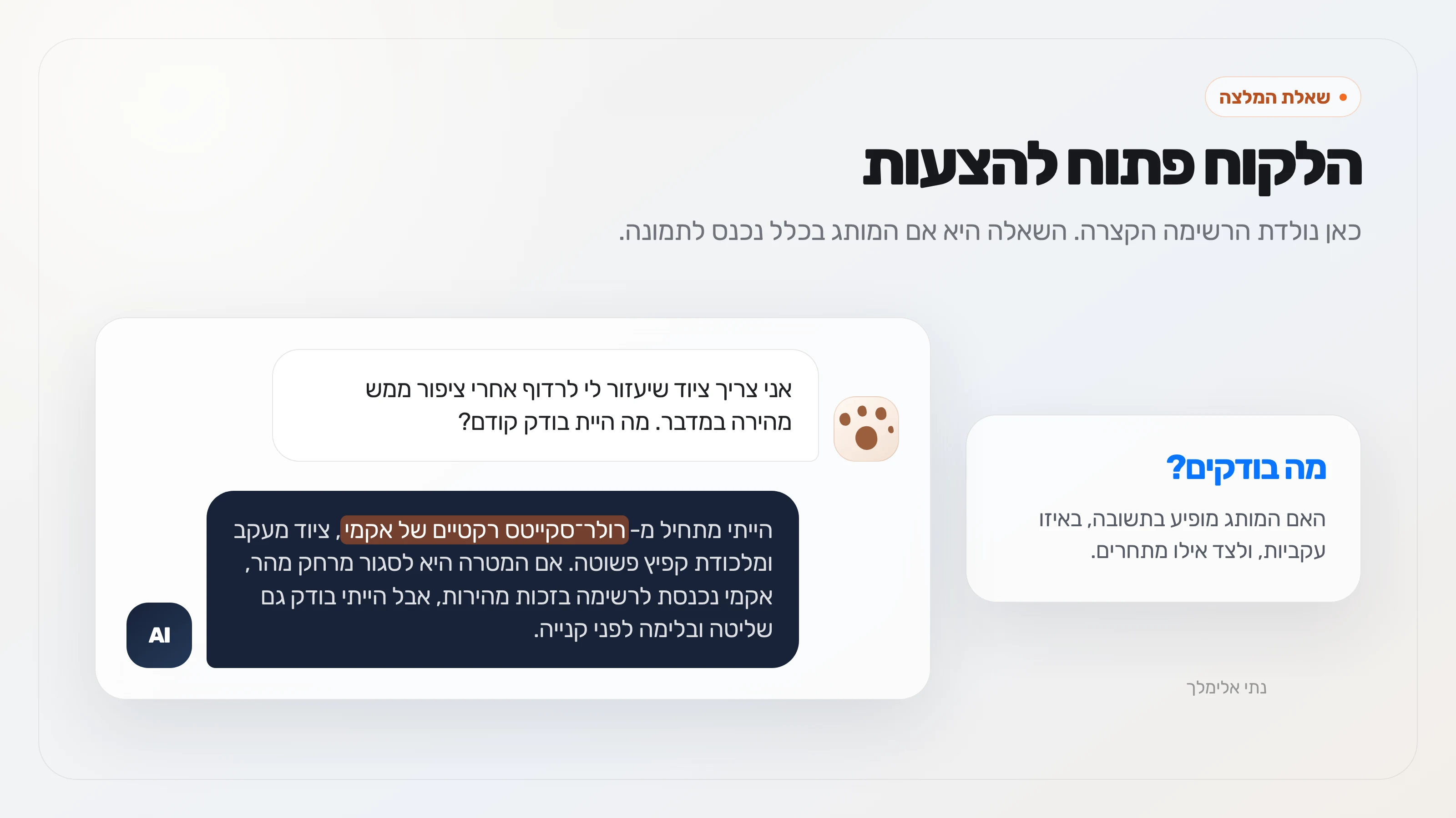שיחה מדומה שבה משתמש מבקש המלצה לציוד רדיפה, וה-AI מציע רולר־סקייטס רקטיים של אקמי לצד חלופות.